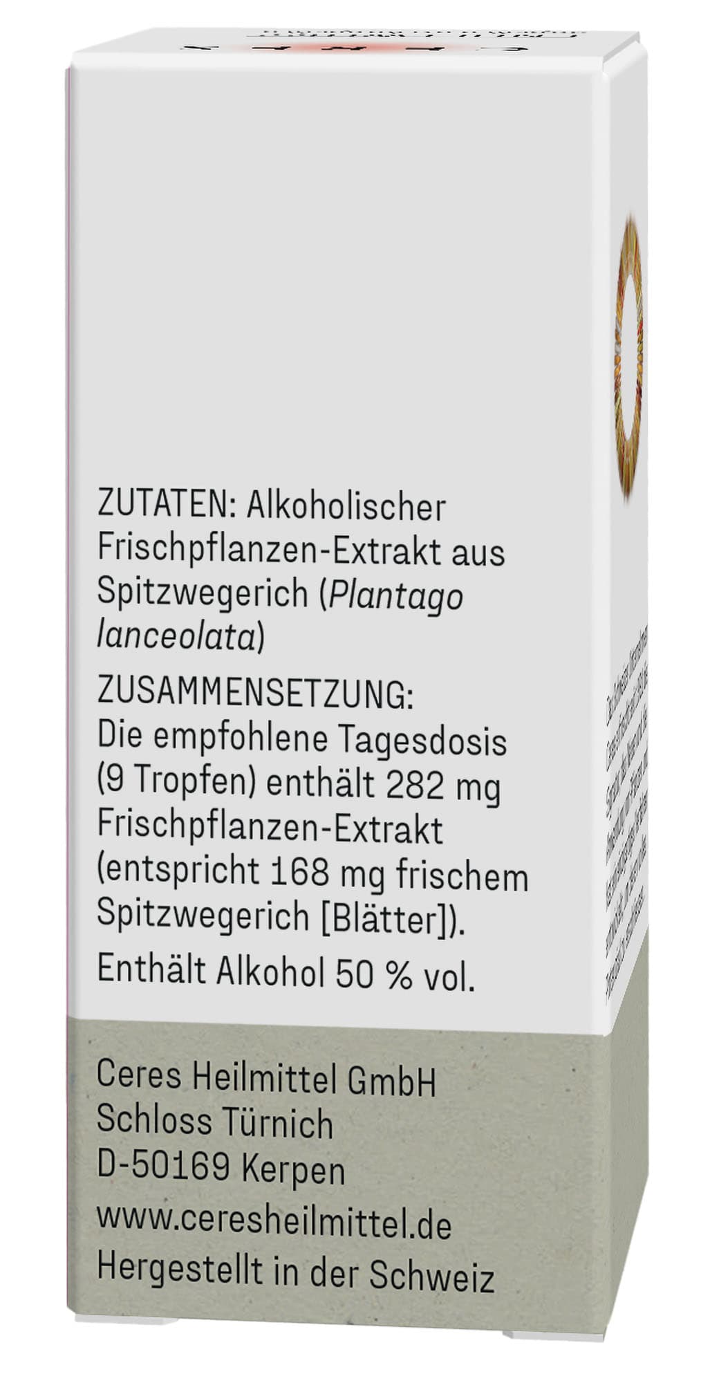 19209257 Spitzwegerich 2