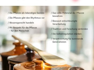 2026 09 Unternehmensbanner Prinzipien