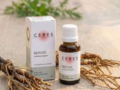 Beifuss NEM Packshot Pflanze