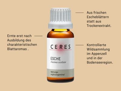 Braune Arzneiflasche mit weißem Etikett und Schraubverschluss, beschriftet mit CERES Esche Fraxinus excelsior, umgeben von deutschen Texten, die bei kontrollierter Wildsammlung und frischen Escheblättern als Inhaltsstoff aufklären.