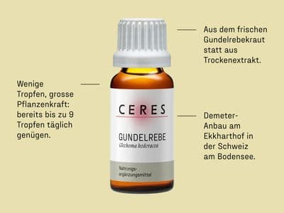 Gundelrebe USPs