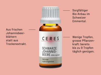 Fläschchen eines Nahrungsergänzungsmittels mit schwarzem Johannisbeerextrakt, umgeben von Beschreibungen zu Inhaltsstoffen, bio-organischem Anbau und Dosierungshinweisen auf rosa Hintergrund.