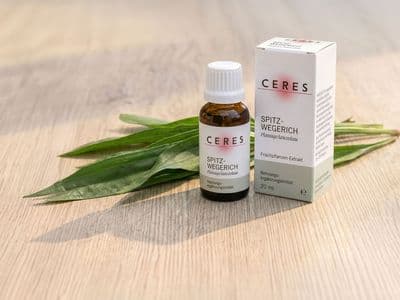 Spitzwegerich NEM Packshot Korr