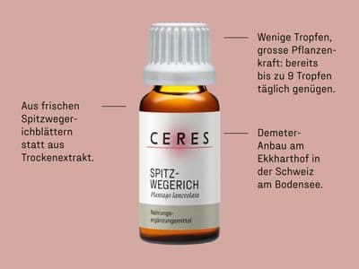 Spitzwegerich USPs