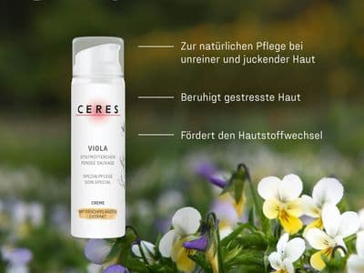 Eine Flasche CERES VIOLA Creme vor einem unscharfen Hintergrund mit Veilchenblumen, dazu Text mit den Vorteilen der Creme für Hautpflege bei unreiner, juckender und gestresster Haut.