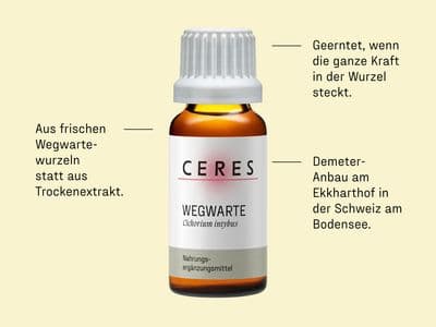 Braunes Glasfläschchen mit weißem Verschluss und Etikett der Marke CERES, Produktname Wegwarte, daneben beschreibender Text zu frischen Wegwartenwurzeln, Erntezeitpunkt und Anbauort in der Schweiz.