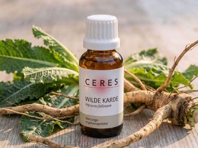 WildeKarde NEM Packshot Pflanze