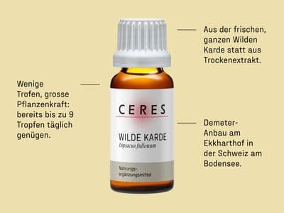 Fläschchen des Nahrungsergänzungsmittels Wilde Karde von CERES mit Hinweisen zu Wirksamkeit, Herkunft und Qualität auf hellem Hintergrund.