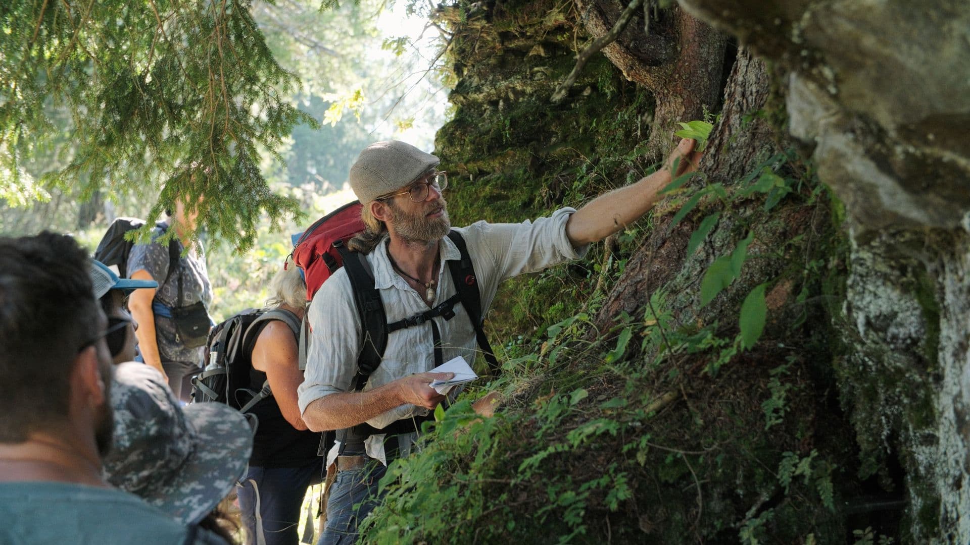 Ein Mann mit einem Rucksack und einer Mütze untersucht im Wald an einem moosbewachsenen Baum eine Pflanze, während weitere Personen ihm folgen und beobachten.