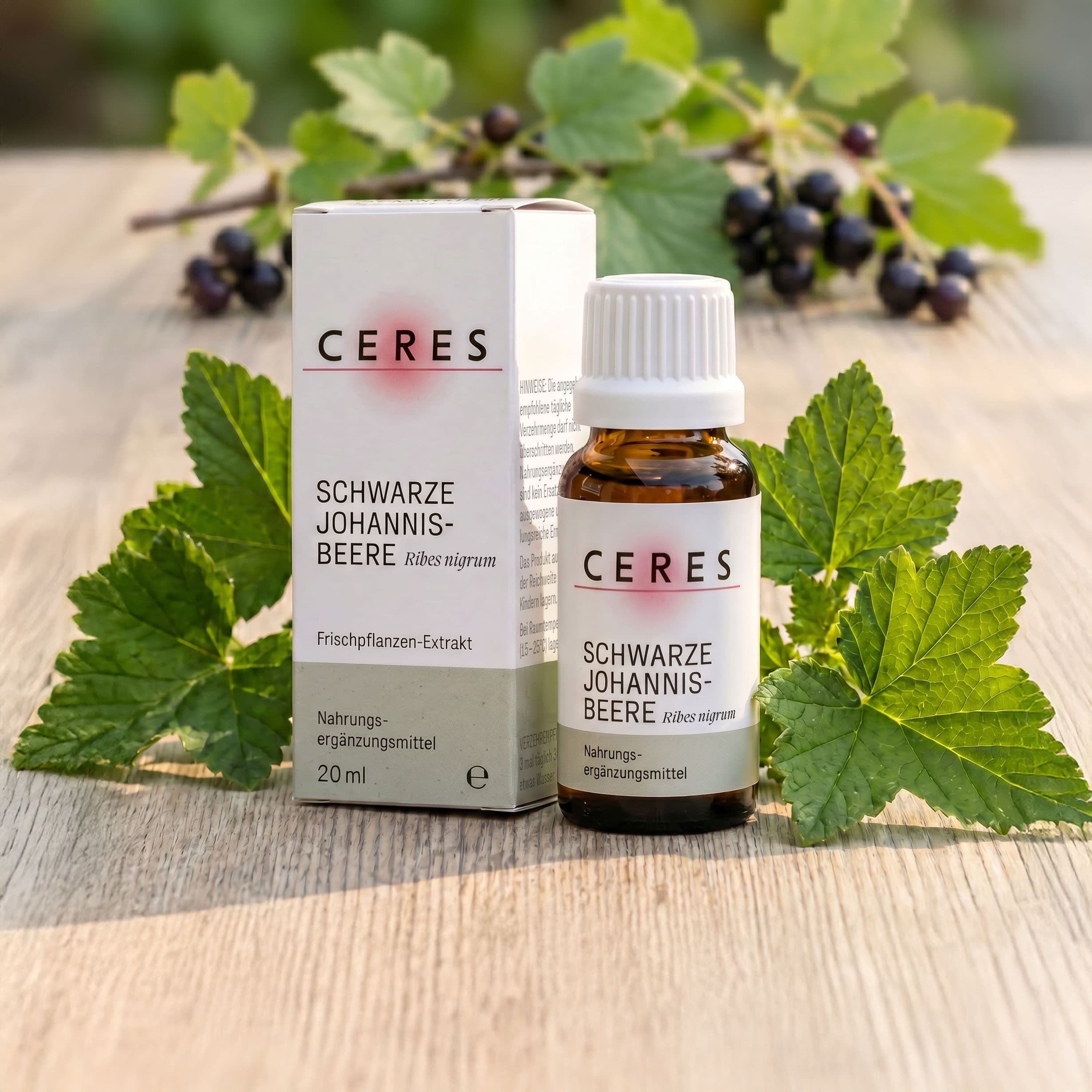 Johannisbeere NEM Packshot Pflanze